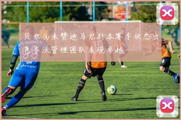 贝尔戈米赞迪马尔科本赛季状态出色齐沃管理团队表现卓越