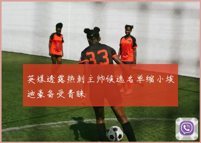 英媒透露热刺主帅候选名单缩小埃迪豪备受青睐