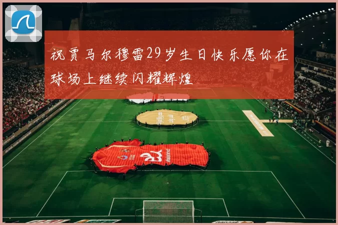 祝贾马尔穆雷29岁生日快乐愿你在球场上继续闪耀辉煌