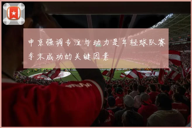 申京强调专注与动力是年轻球队赛季末成功的关键因素