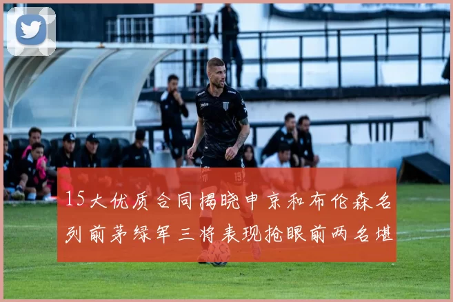 15大优质合同揭晓申京和布伦森名列前茅绿军三将表现抢眼前两名堪称传奇